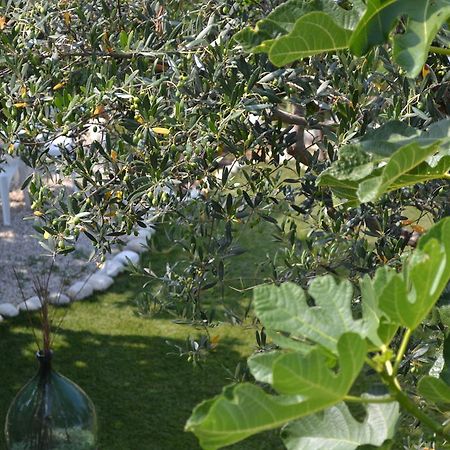 Giardinotto Casa Vacanze Altino  Exterior foto